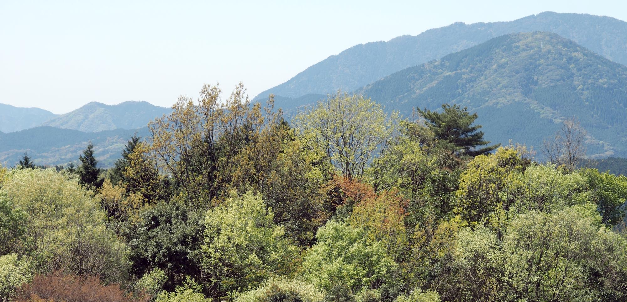 大刀洗町