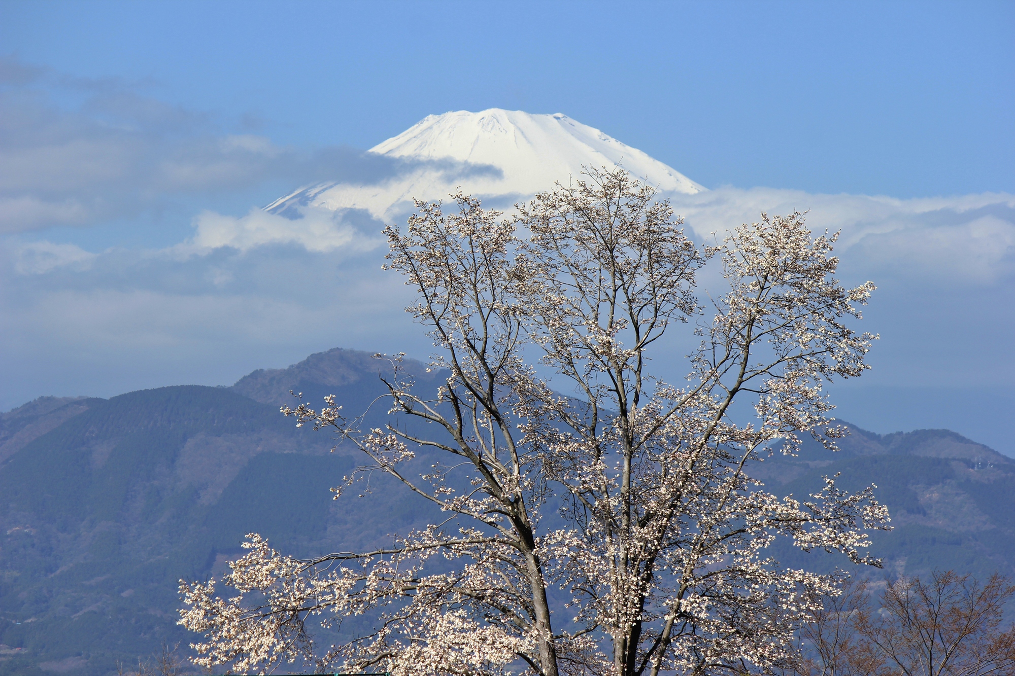大井町