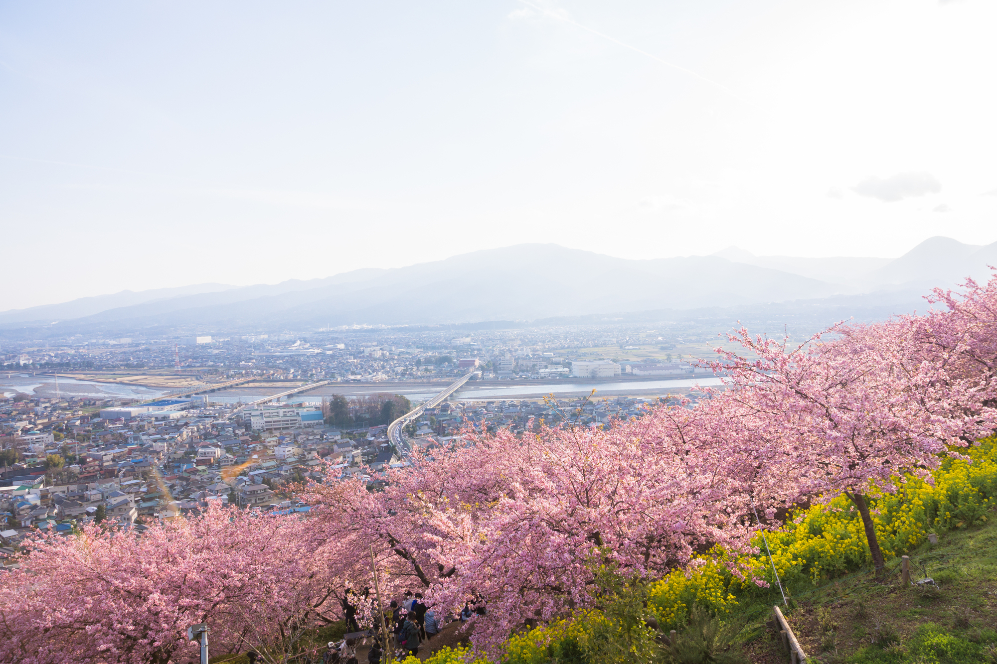 松田町