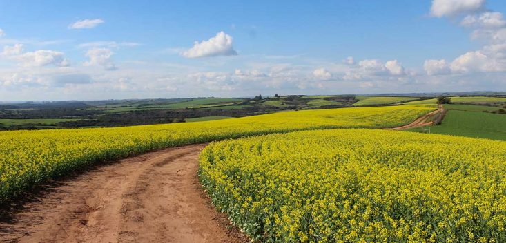 郷に入っては郷に従え 意味 類義語 対義語 英語表現と例文を解説 マナラボ