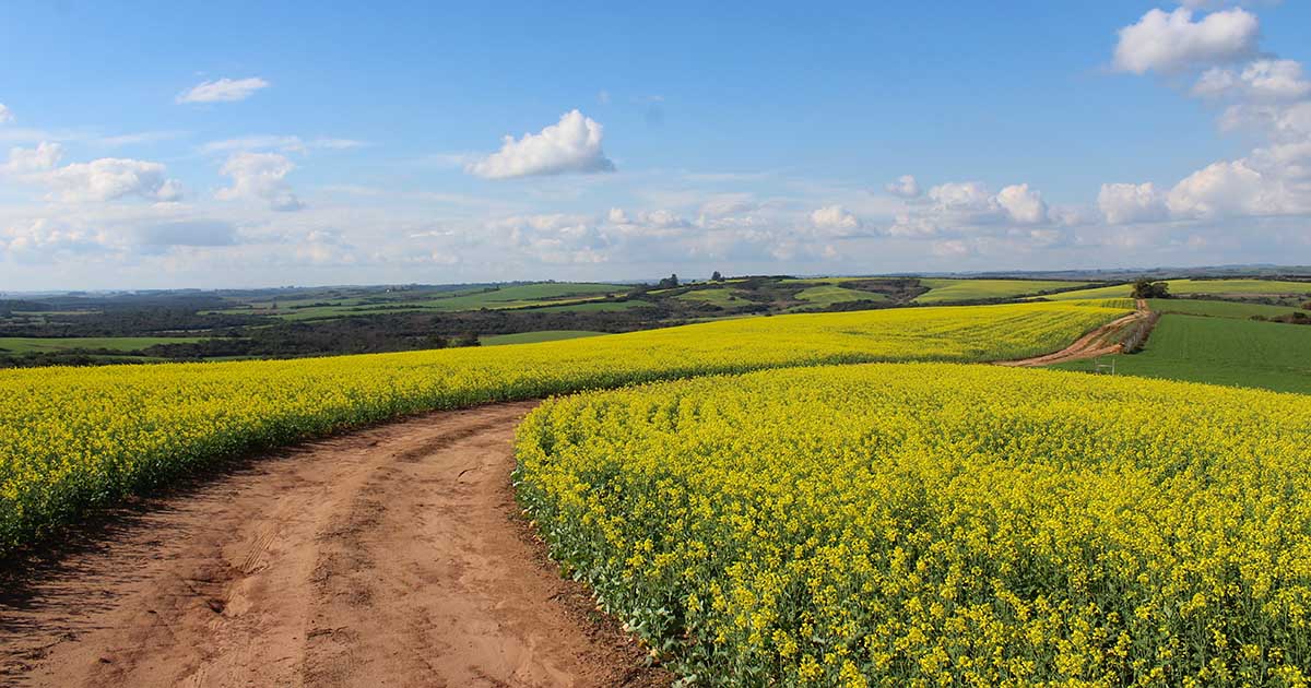 ごう に したがう