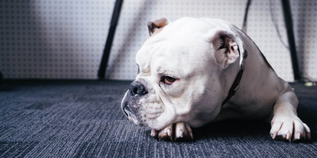 行雲流水 読み方 意味 使い方 類語 対義語などを解説 マナラボ